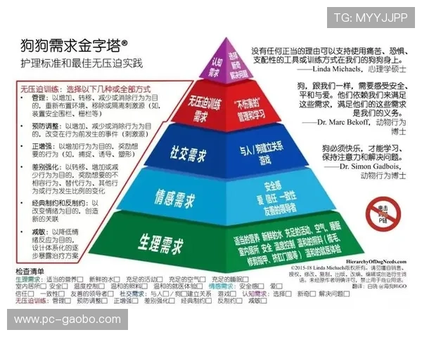 金字塔娱乐场：安全保障措施全面提升玩家的游戏体验与信心